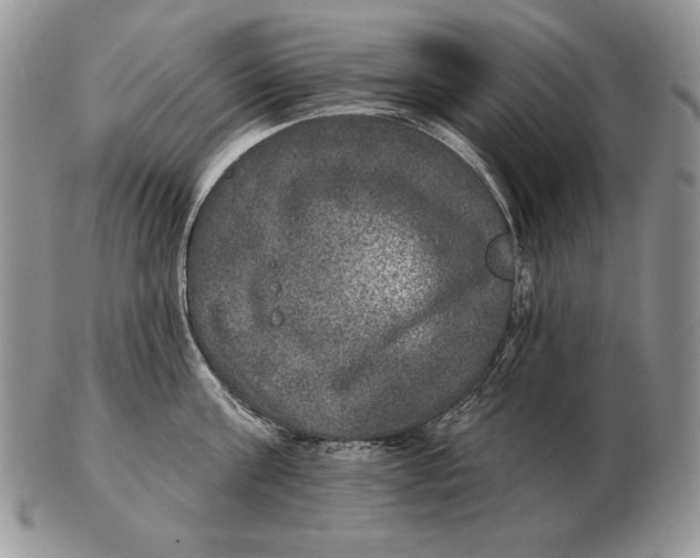 X0000102400811200808221846