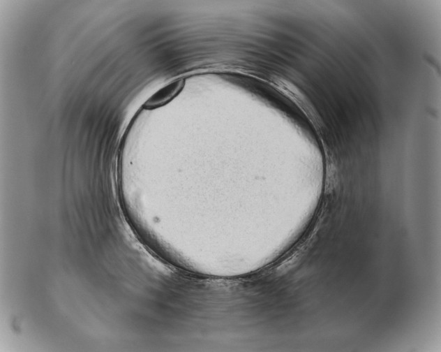X0000102400812200808221846