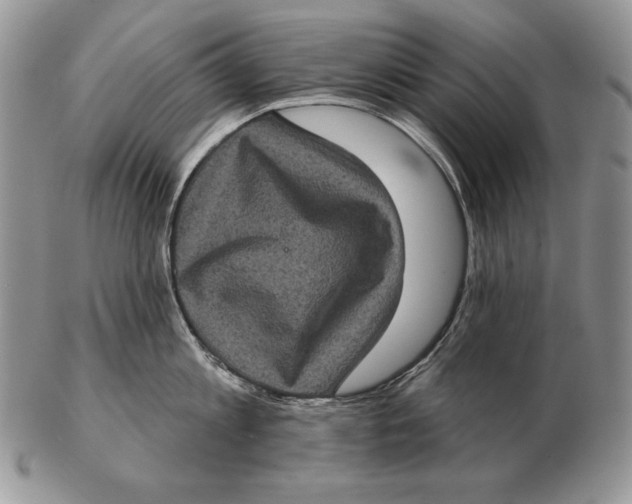 X0000102400813200808221846