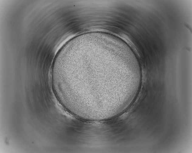 X0000102400814200808221846