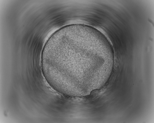 X0000102400815200808221846