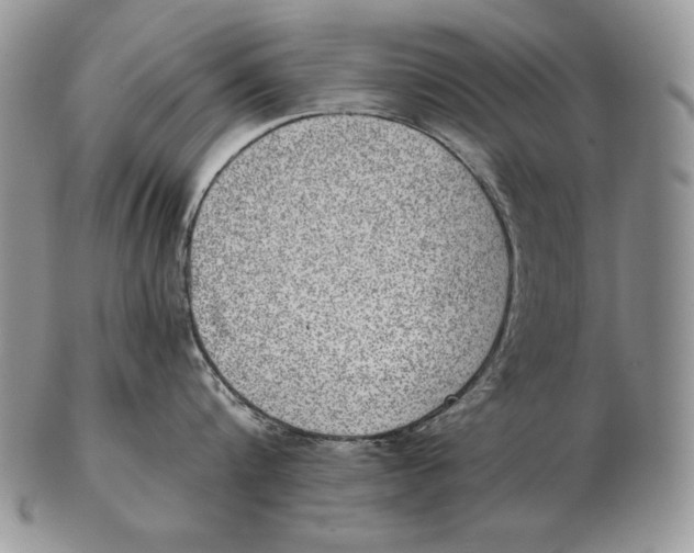 X0000102400816200808221846