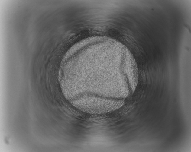 X0000102400817200808221846