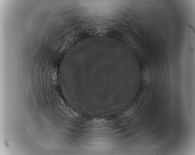 X0000102400818200808221846