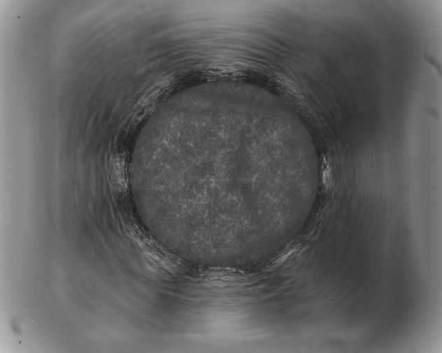 X0000102400819200808221846
