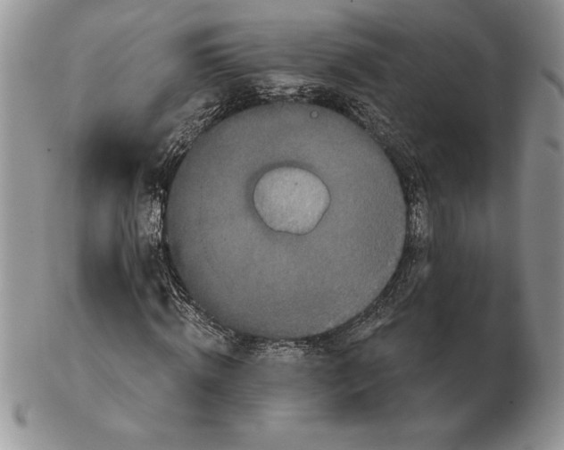 X0000102400820200808221846