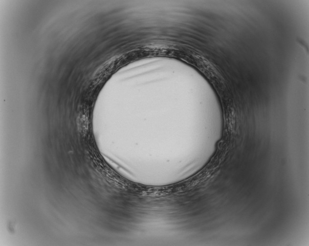 X0000102400821200808221846