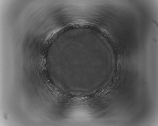 X0000102400822200808221846