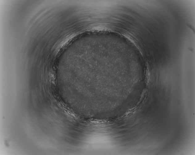 X0000102400823200808221846