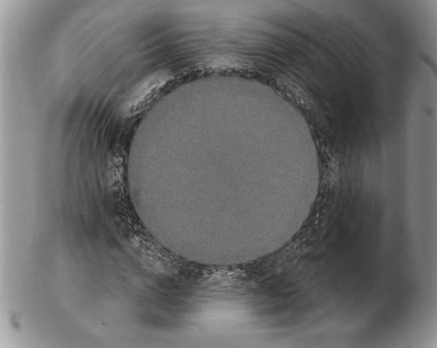 X0000102400824200808221846