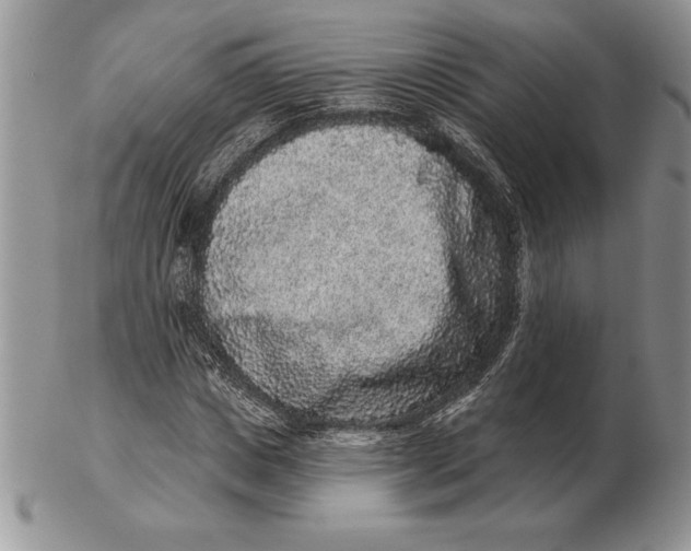 X0000102400825200808221846