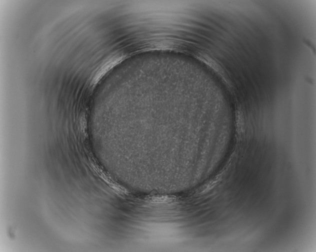 X0000102400826200808221846