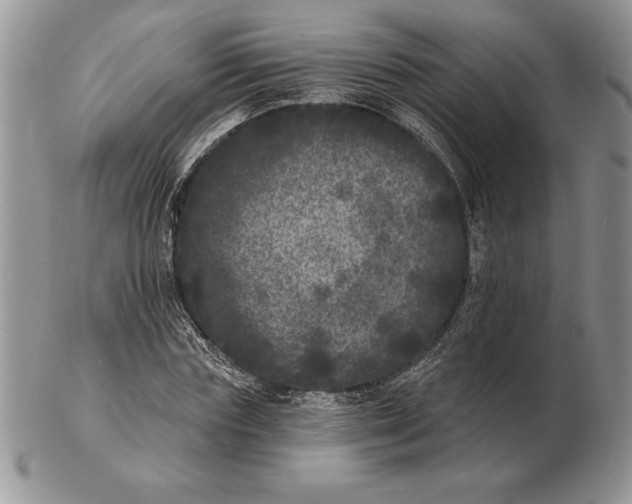 X0000102400827200808221846