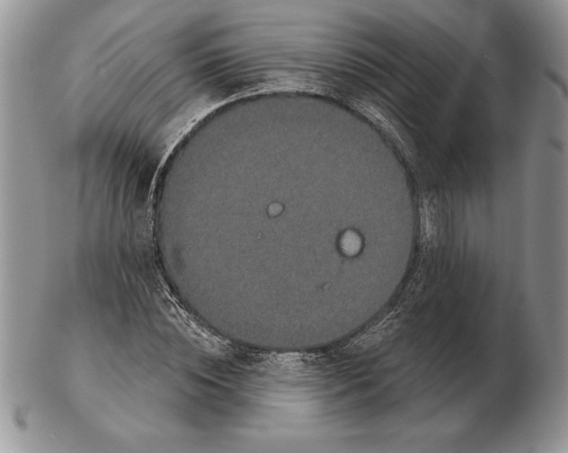 X0000102400828200808221846