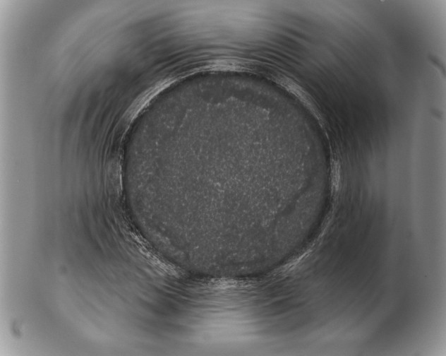 X0000102400829200808221846