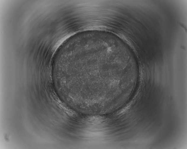 X0000102400830200808221846
