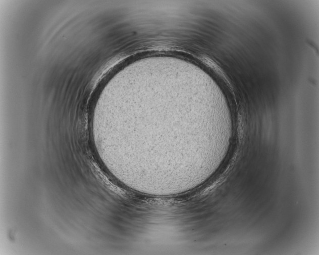 X0000102400831200808221846
