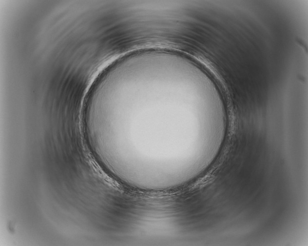 X0000102400832200808221846