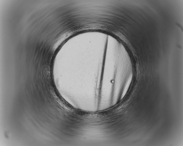 X0000102400834200808221846