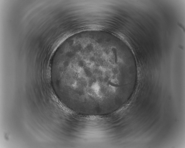 X0000102400835200808221846