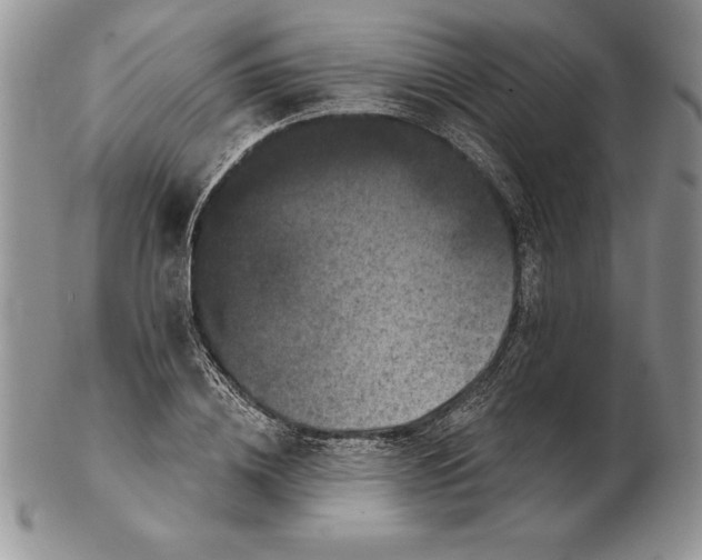 X0000102400836200808221846