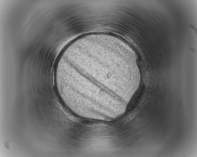 X0000102400838200808221846