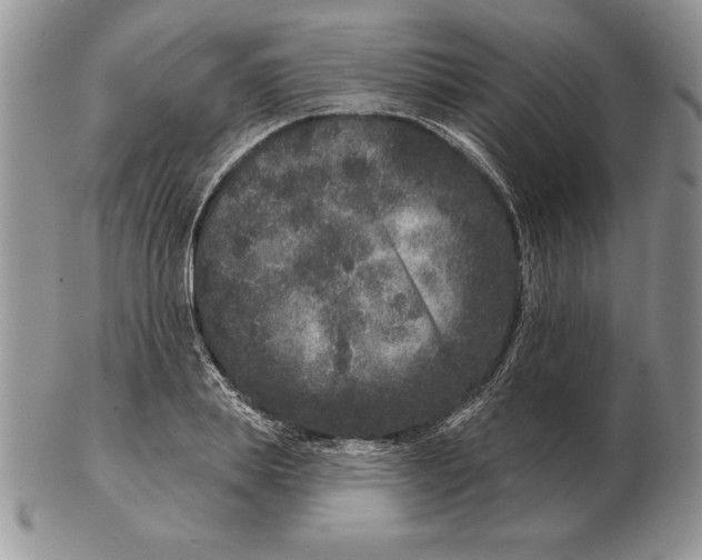 X0000102400839200808221846