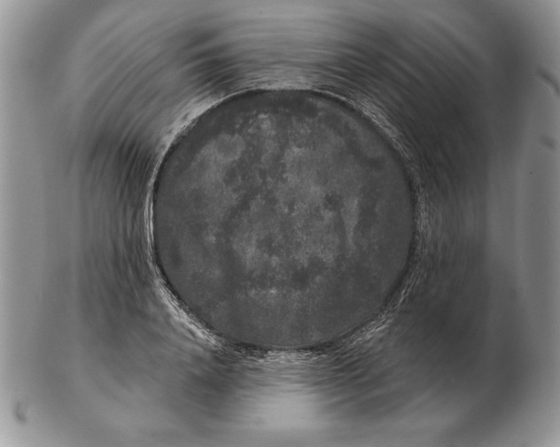 X0000102400840200808221846