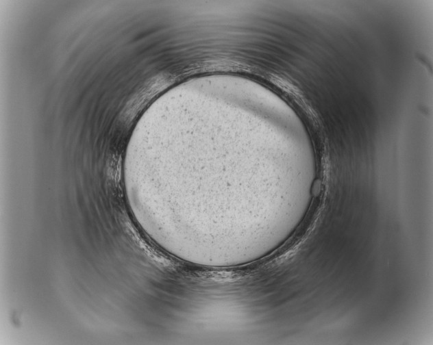 X0000102400841200808221846