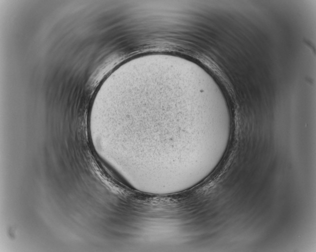 X0000102400842200808221846