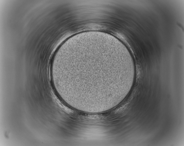 X0000102400843200808221846