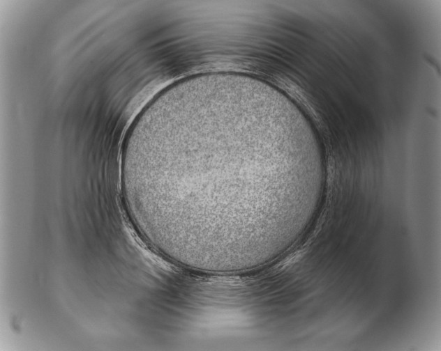 X0000102400844200808221846