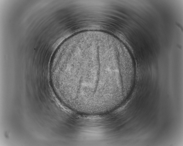 X0000102400845200808221846