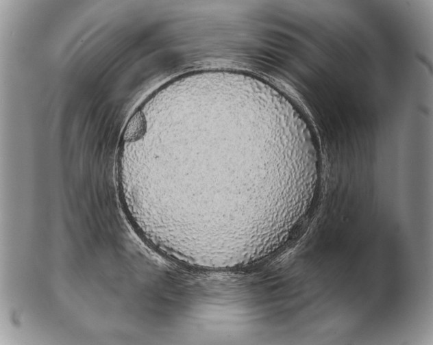 X0000102400847200808221846