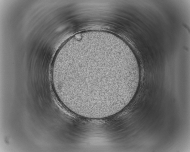 X0000102400848200808221846