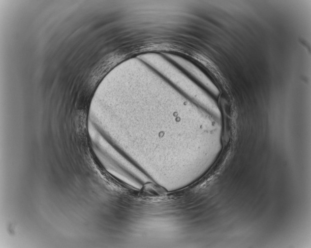 X0000102400849200808221846