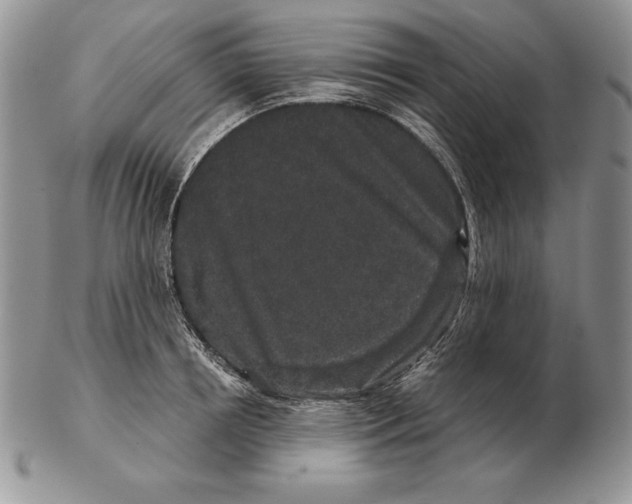 X0000102400850200808221846