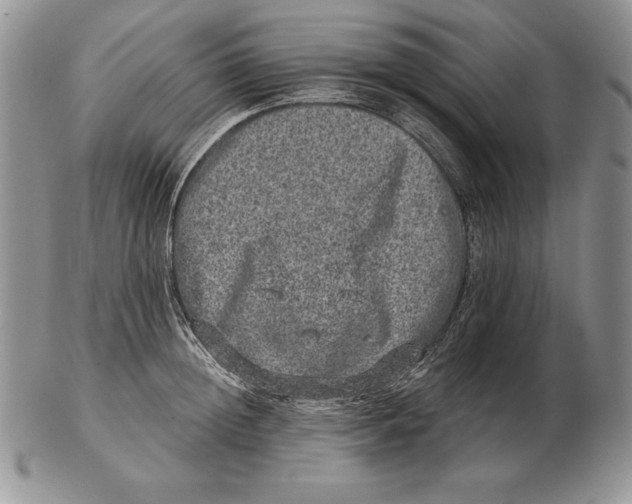 X0000102400852200808221846