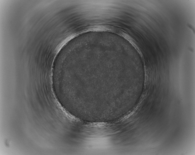 X0000102400853200808221846