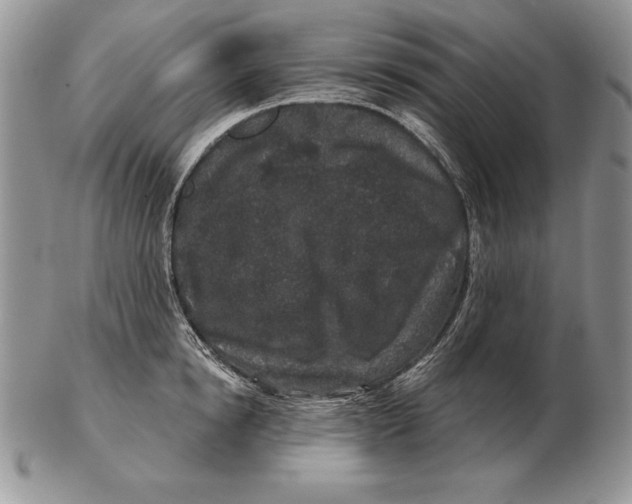 X0000102400854200808221846