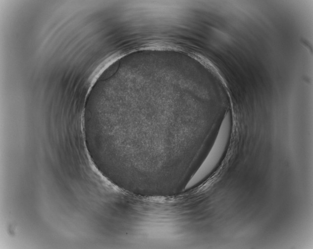 X0000102400855200808221846