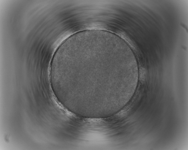 X0000102400856200808221846