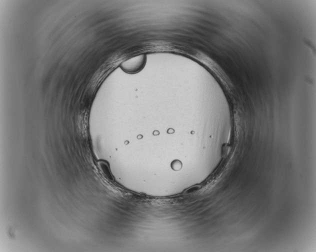 X0000102400857200808221846
