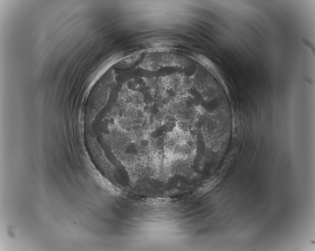 X0000102400859200808221846