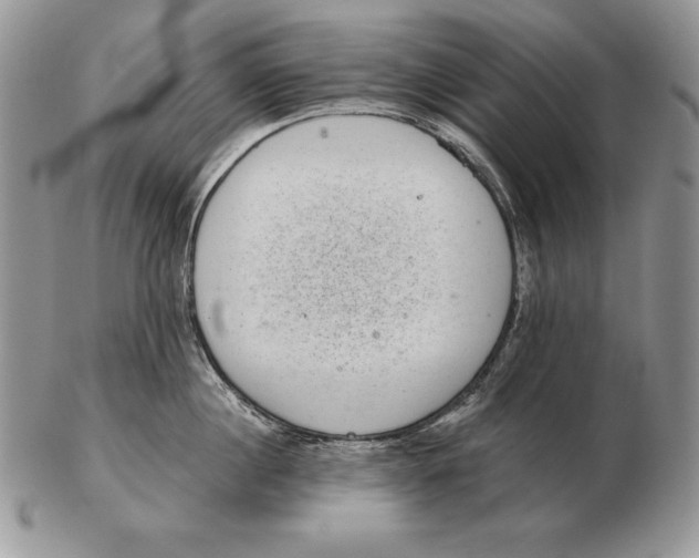 X0000102400860200808221846