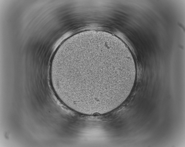 X0000102400861200808221846