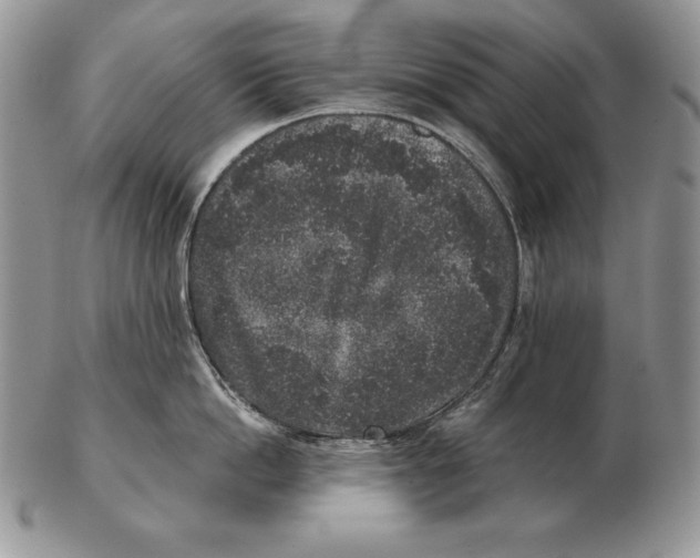 X0000102400862200808221846