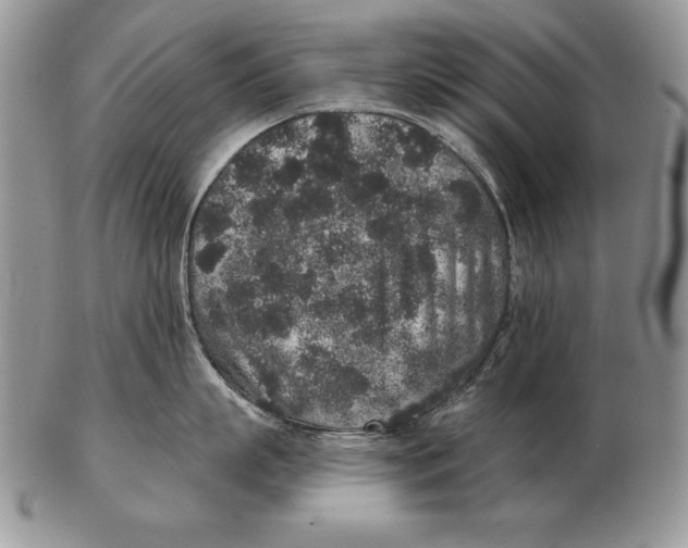X0000102400863200808221846