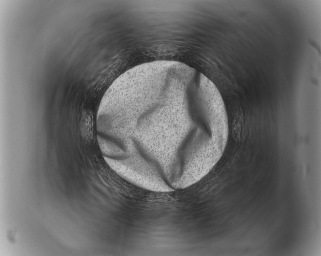 X0000102400866200808221846