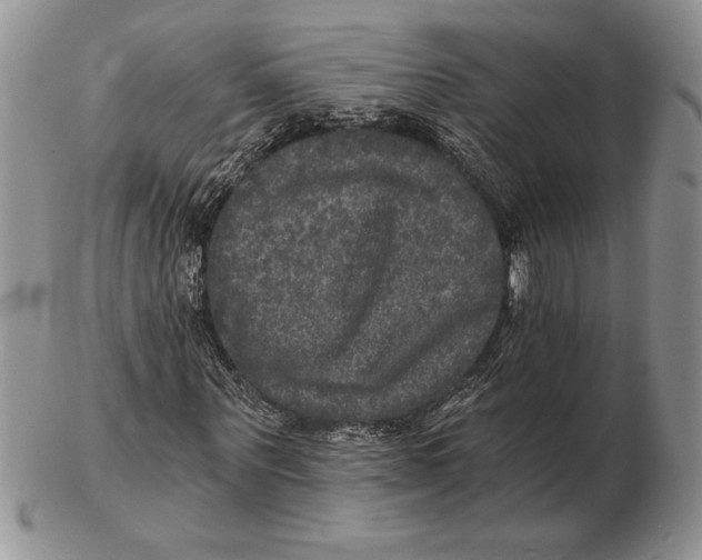 X0000102400867200808221846
